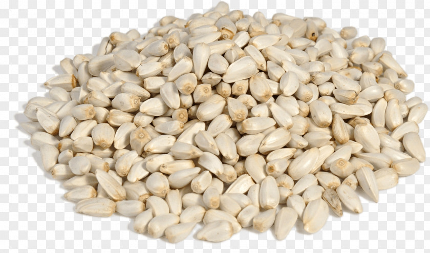 Safflower Sunflower Seed Guizotia Abyssinica Fodder PNG