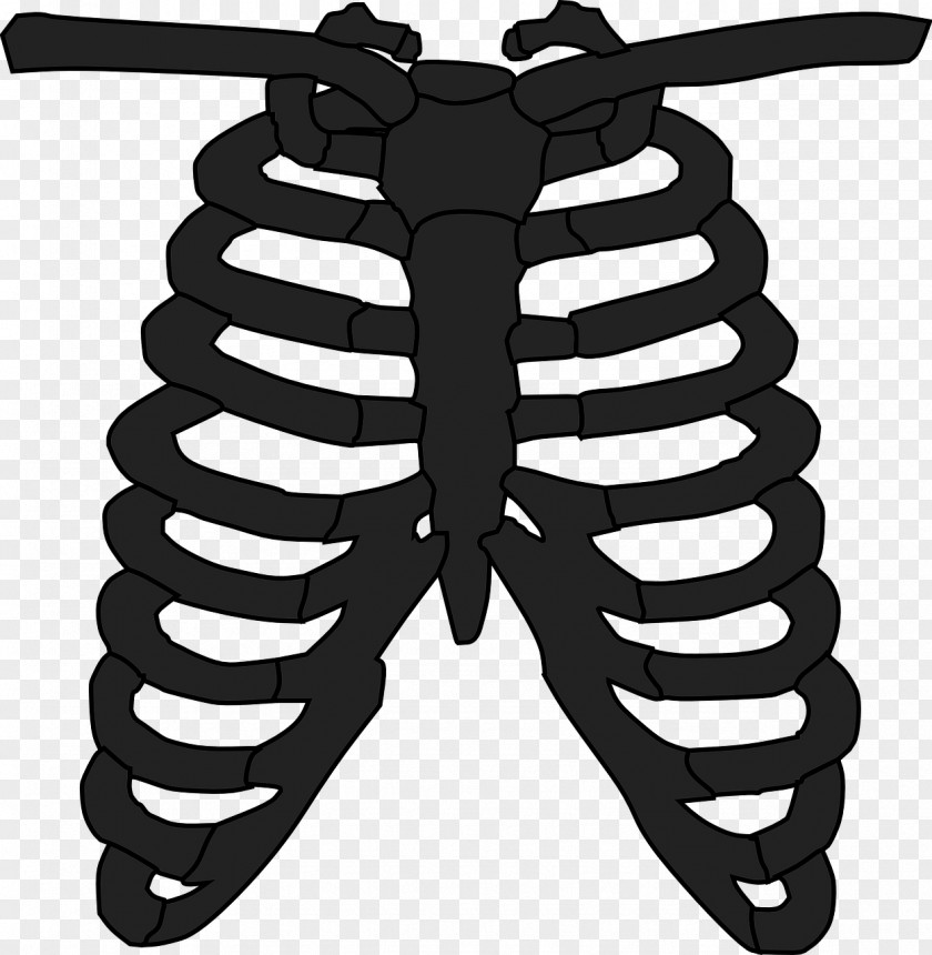T-shirt Rib Cage Human Skeleton Anatomy PNG