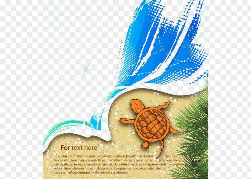 Turtle Beach Adobe Illustrator Illustration PNG