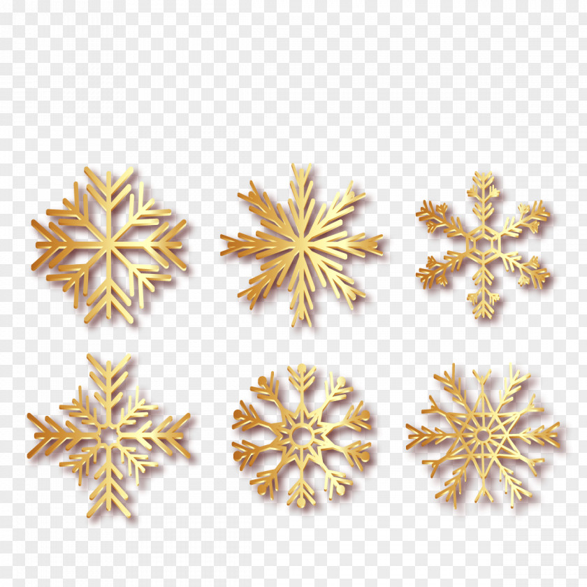 Vector Winter Golden Snowflakes Earring Ice Crystals Snowflake PNG