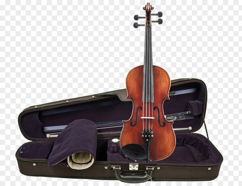 Violin And Viola Cello PNG