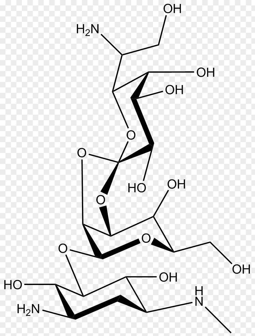 Hygromycin B Streptomyces Hygroscopicus Aminoglycoside Antibiotics Bacteria PNG