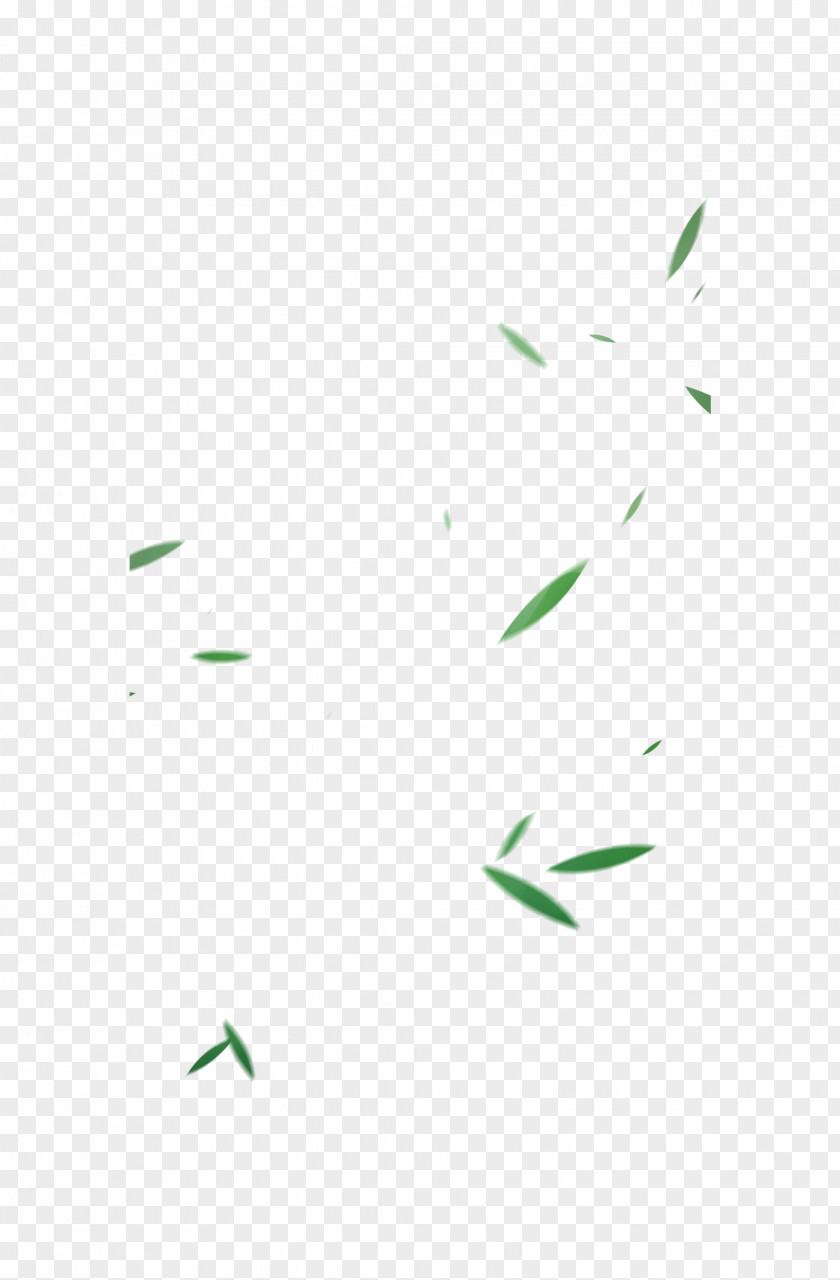 Bamboo Leaves Green Chinoiserie PNG
