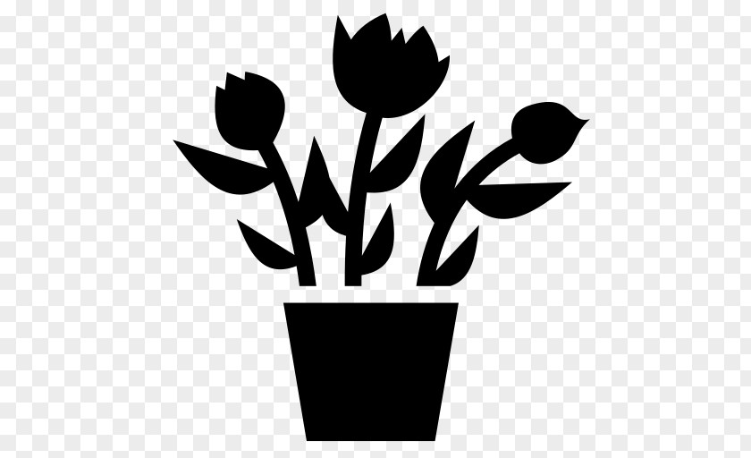 Flowerpot Vase Plant PNG