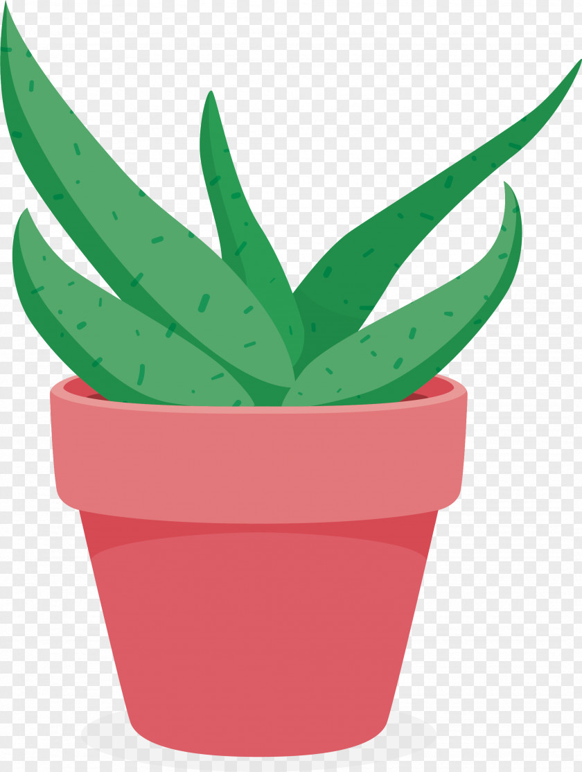 The Pot Of Aloe. Aloe Flowerpot Plant PNG