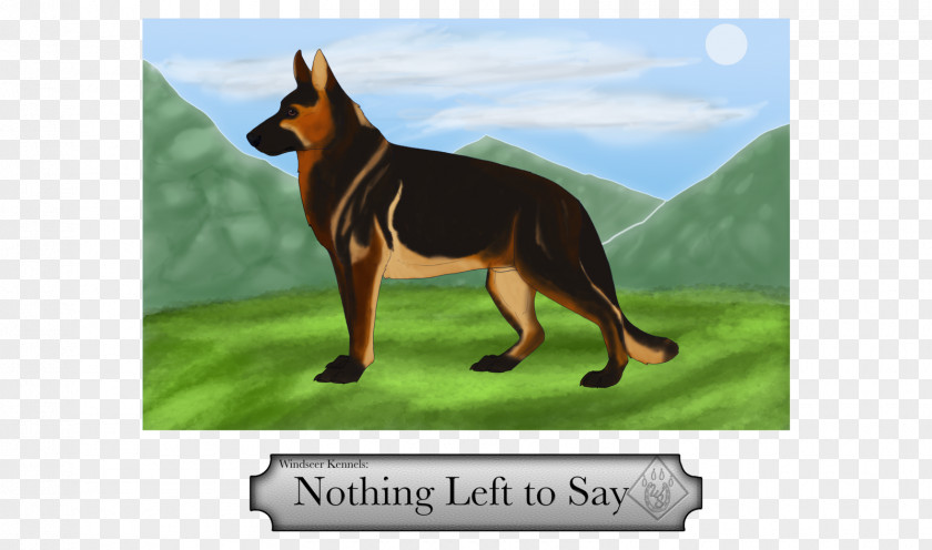 When You Say Nothing At All German Shepherd Kunming Wolfdog Australian Kelpie Dog Breed PNG