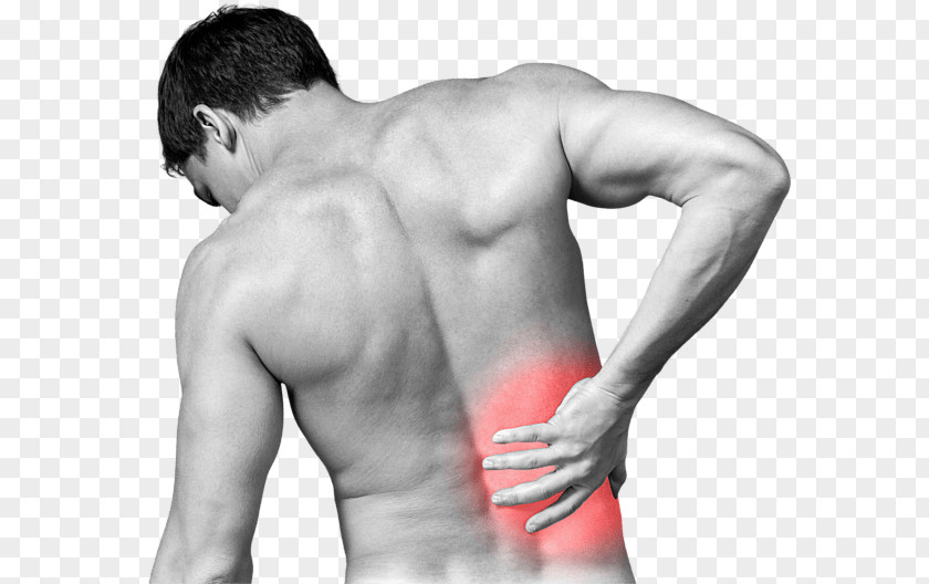 Back Pain In Spine Physical Therapy Low Sciatica Chiropractic PNG
