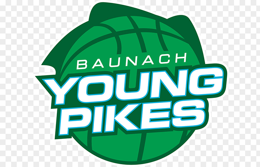 Basketball Baunach Young Pikes ProA Oettinger Rockets RheinStars Köln PNG