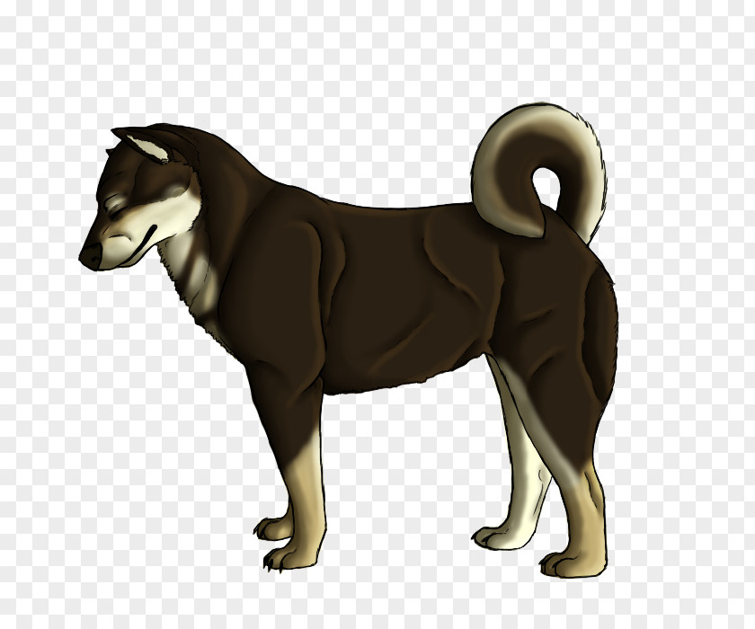 Disappear Shikoku Dog Siberian Husky East Laika Black Norwegian Elkhound Russo-European PNG