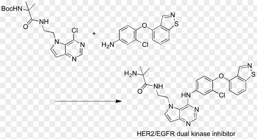 Epidermal Growth Factor Thionyl Chloride Berberine Reagent PNG