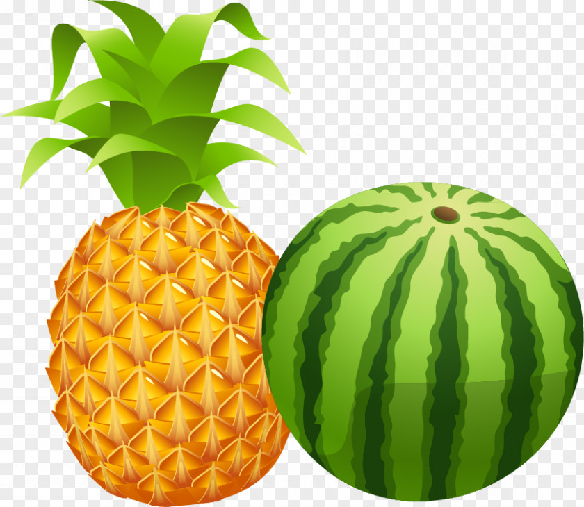 Pineapple, Watermelon Vector Material Pineapple Royalty-free Clip Art PNG