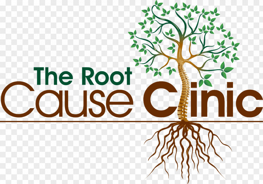 Root Cause The Clinic Thyroid Disease Physician Hospital PNG