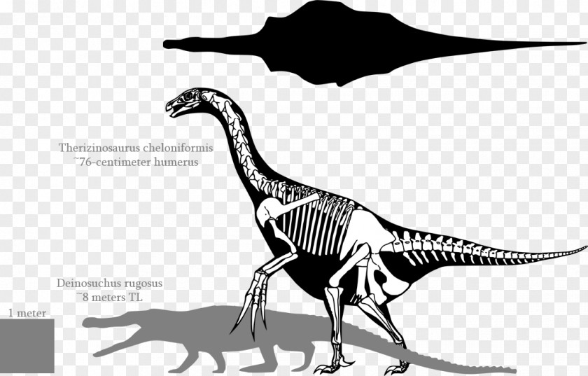 Skull Tyrannosaurus Therizinosaurus Deinosuchus Deinocheirus PNG