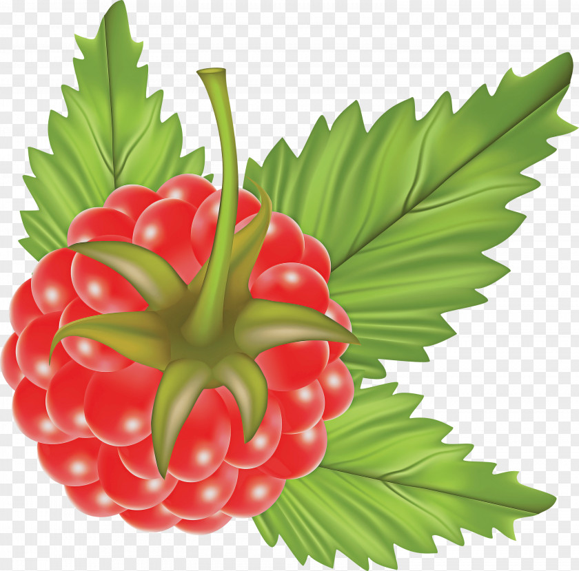 Artificial Flower Seedless Fruit PNG