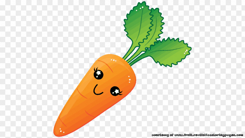 Carrot Vegetable Fruit Clip Art PNG