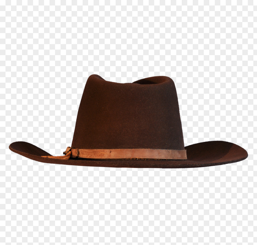 Cowboy Hat Pic Brown Fedora PNG