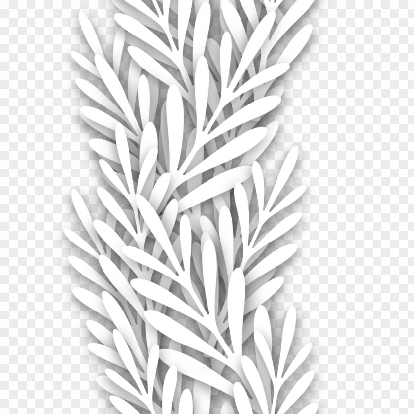 Leaf White Line Art PNG