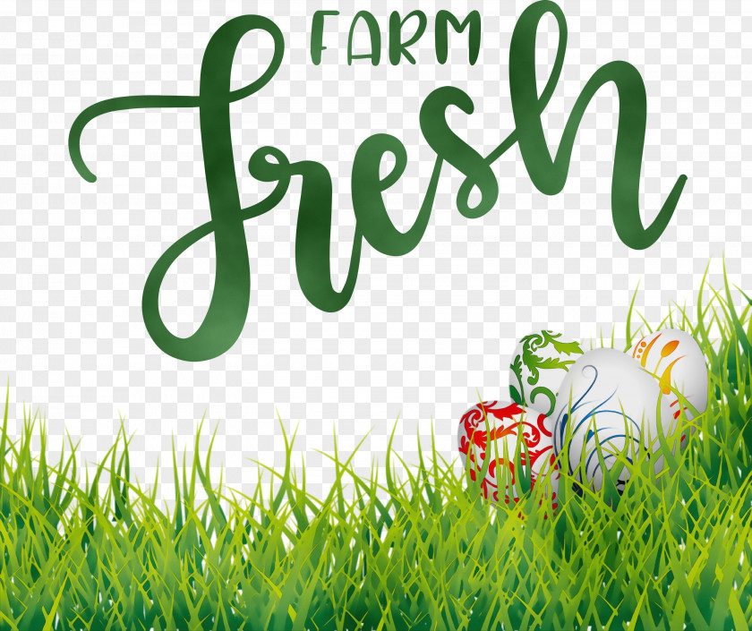 Logo Grasses Font Green Lawn PNG