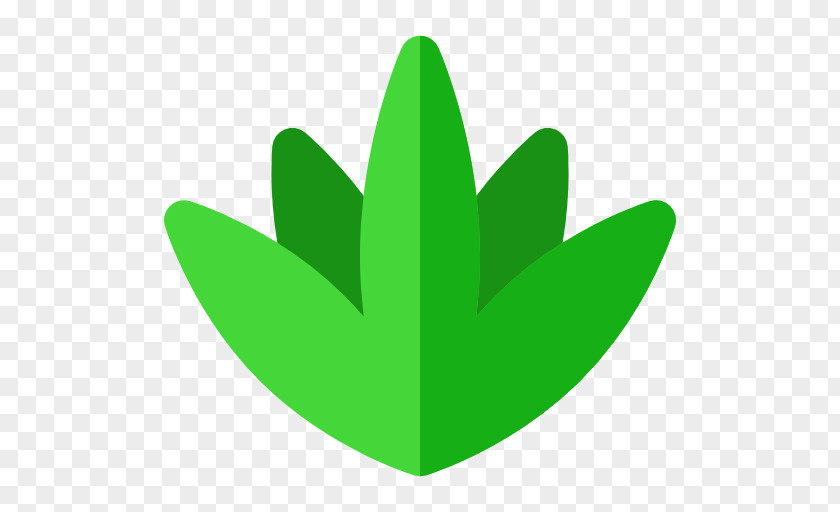 Plant Clip Art PNG