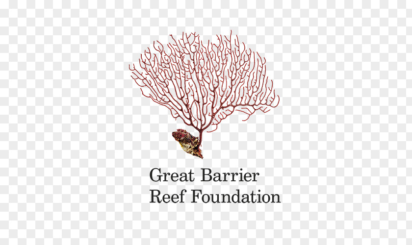 Sea Reef Raine Island Great Barrier Coral Organization PNG