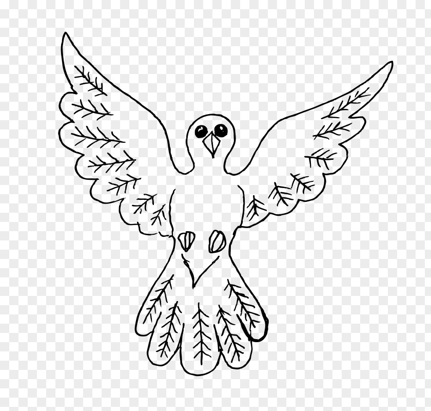 Bird Cartoon Columbidae Drawing Doves As Symbols Clip Art PNG