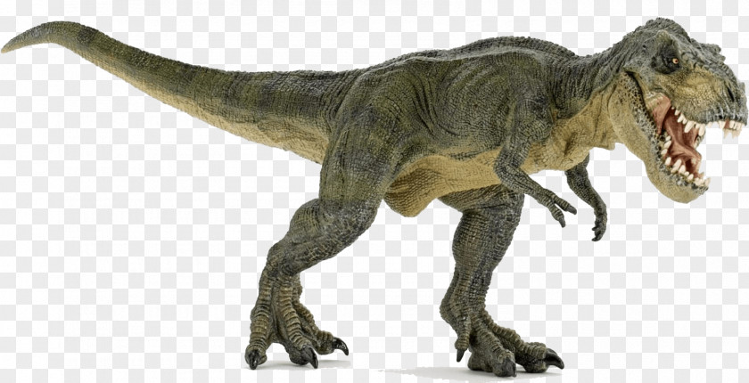 Dinosaur Tyrannosaurus Spinosaurus Triceratops Velociraptor PNG