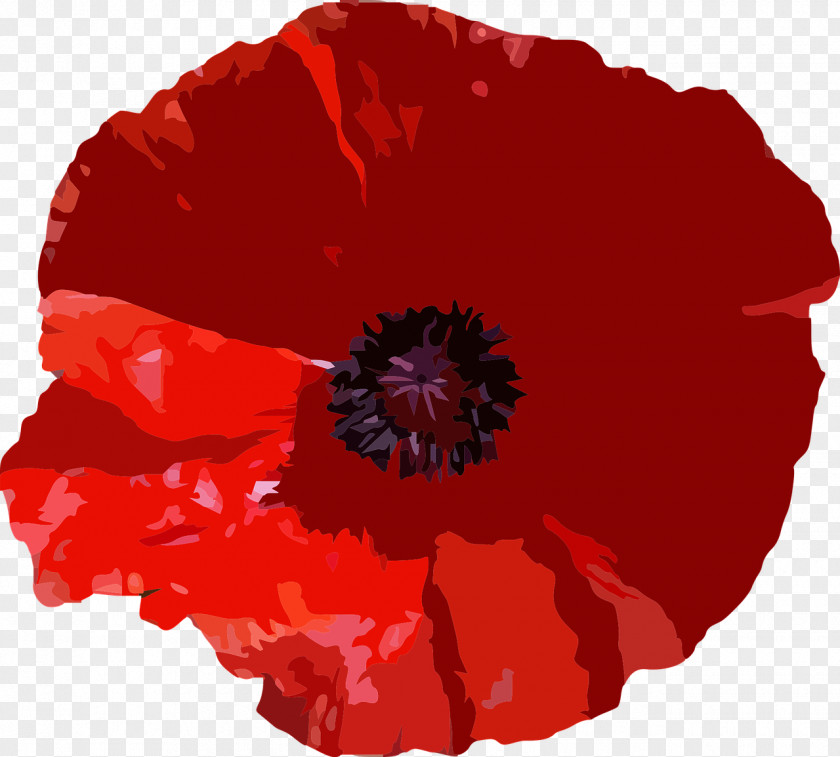 T-shirt Poppy Flower Papaver Orientale Red PNG