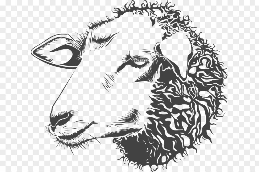 Goat Romney Sheep Dorset Horn Farming Clip Art PNG
