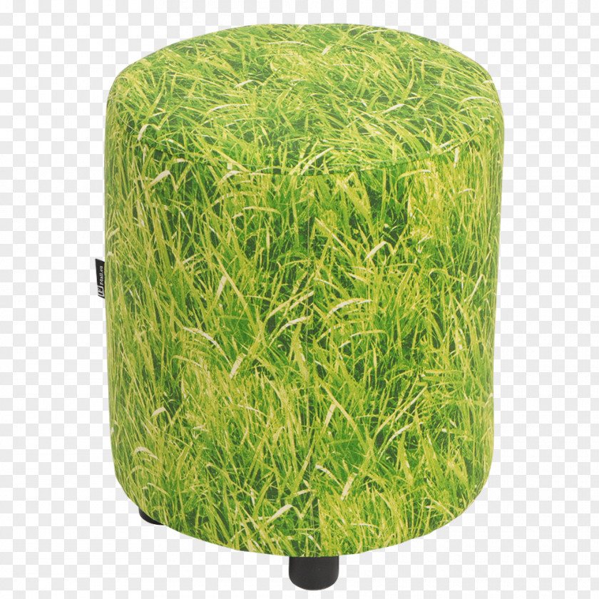 Hay Grasses PNG