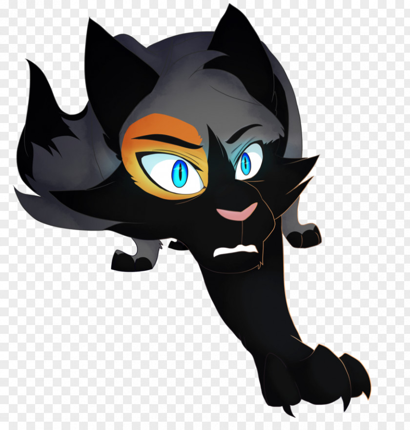 Jay Z Cat Whiskers Animal Mammal Paw PNG