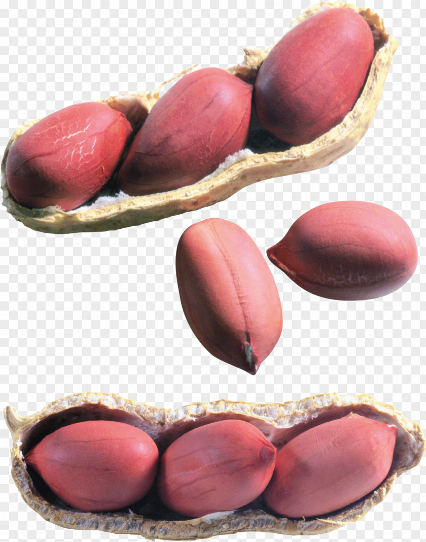 Legume Fruit Oil Background PNG