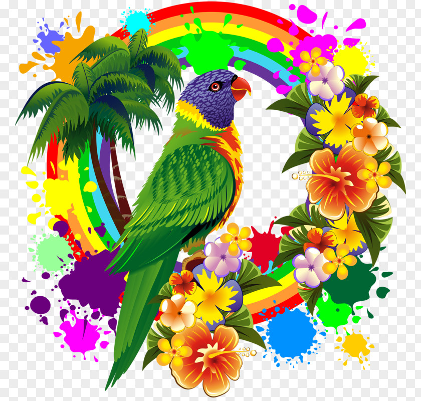 Parrot Rainbow Lorikeet T-shirt Lories And Lorikeets PNG