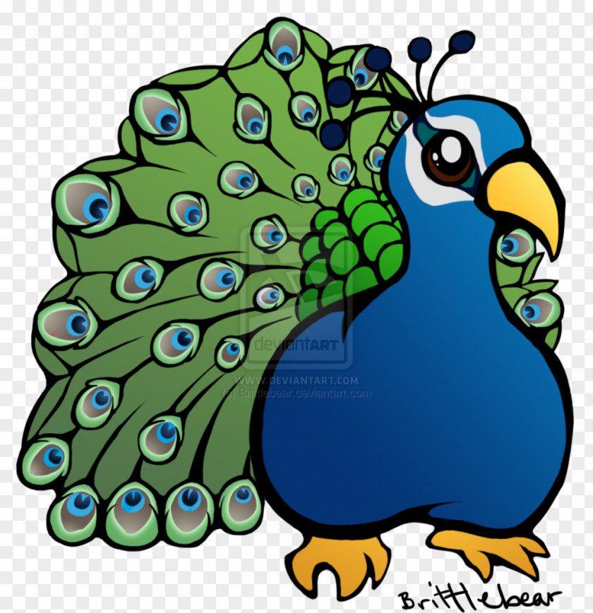 Peacock Bird Peafowl Cuteness Tiger Clip Art PNG