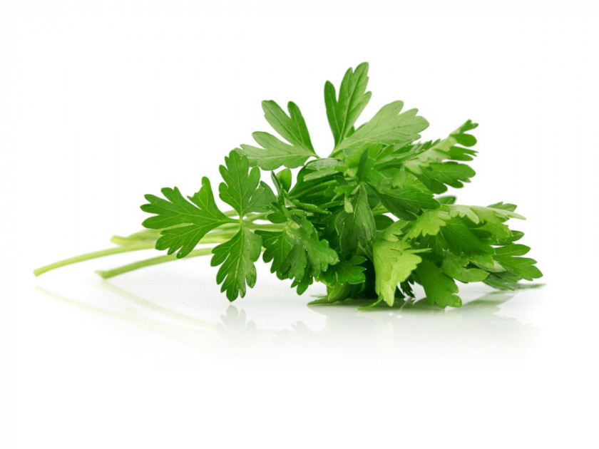 Pepermint Herb Parsley Garnish Spice Flavor PNG