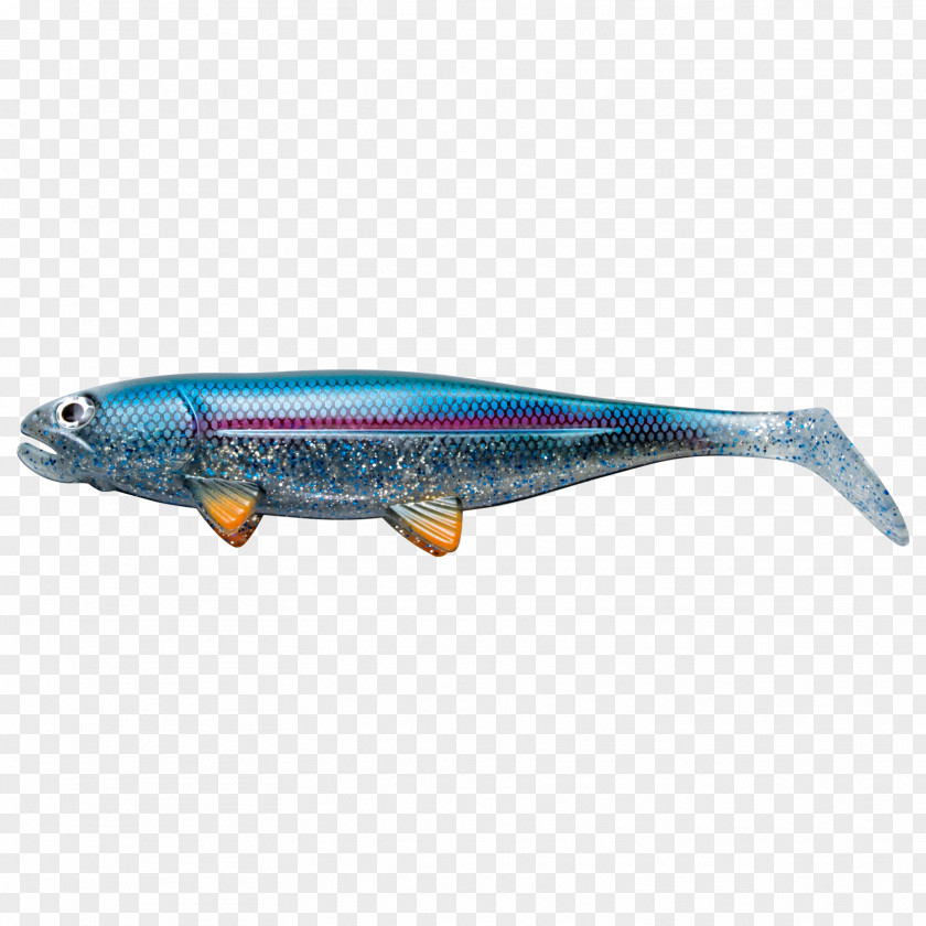 Sardine Ultra-high-definition Television Quantum Dot Display Color Fish PNG