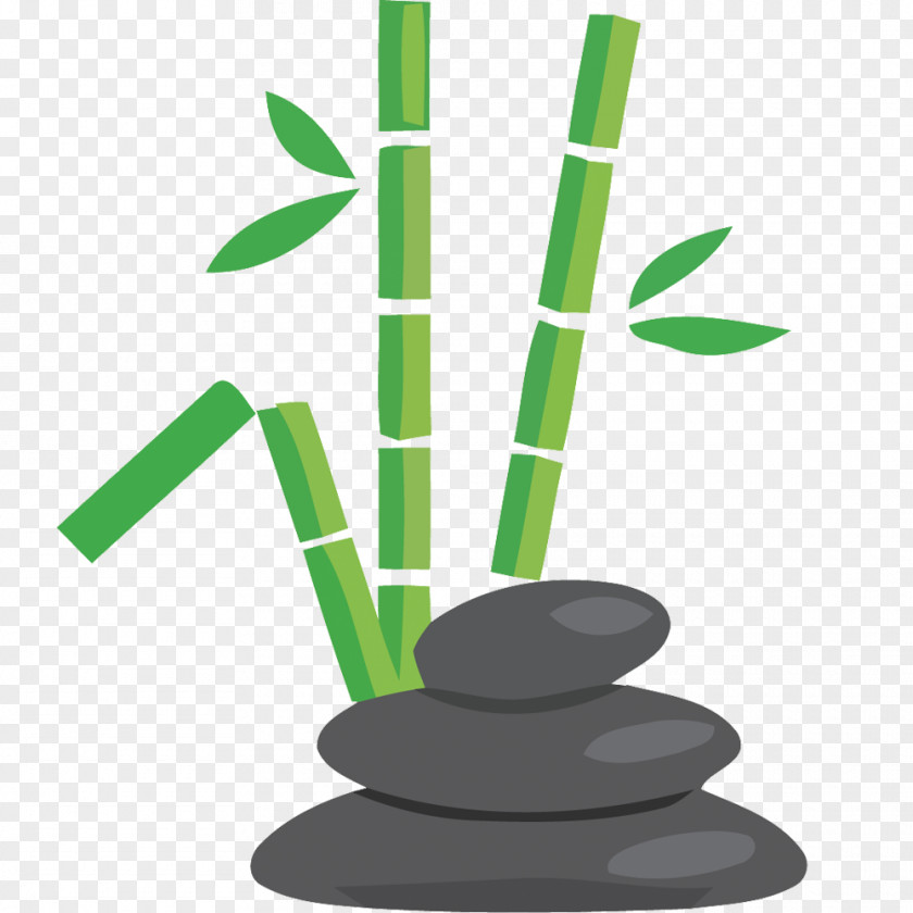 Vector Creative Hand-painted Bamboo Stone Bamboe PNG