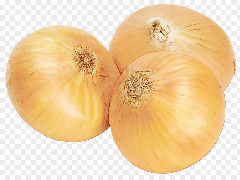 Yellow Onion Vegetable Red Image PNG