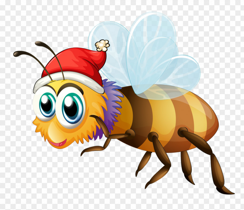 Insect Honey Bee Clip Art PNG
