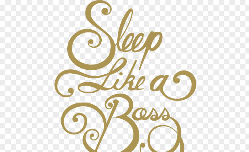Like A Boss Sleep Boss: The Guide To For Busy Bosses Child By Christine Hansen Infant PNG