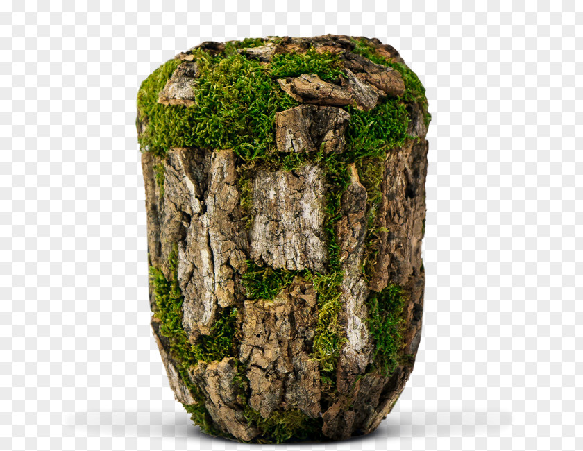 Natural Burial Bestattungsurne Bark Golden Urn Funeral PNG