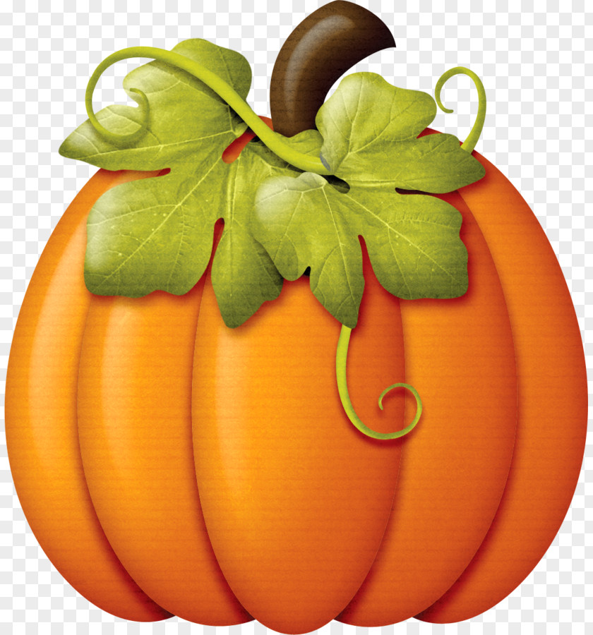 Pumpkin Autumn Cucurbita Pepo Clip Art PNG