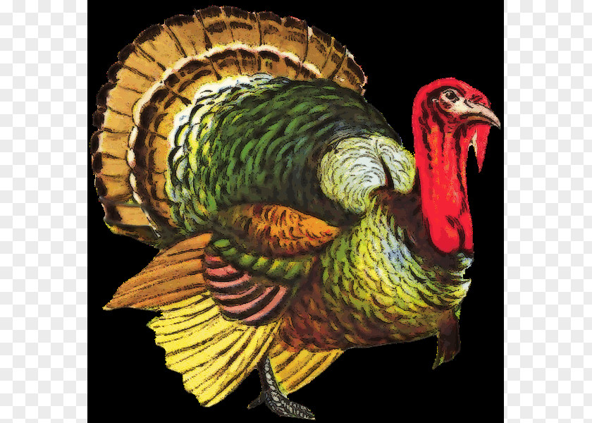 Turkey Meat Desktop Wallpaper Clip Art PNG