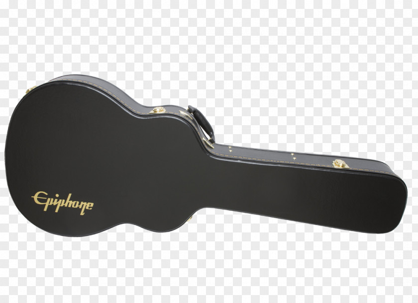 Acoustic Guitar Amplifier Acoustic-electric PNG