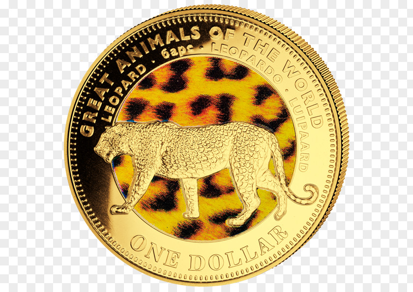 Cat Gold Coin Mammal PNG