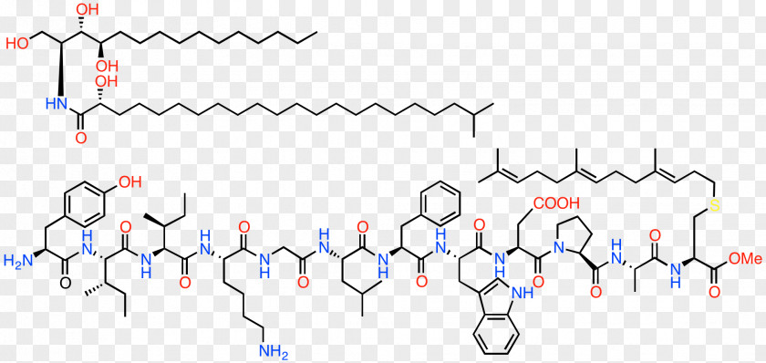 Crabs Interfungin Antithrombotic Chemistry Pharmaceutical Drug Ppt PNG