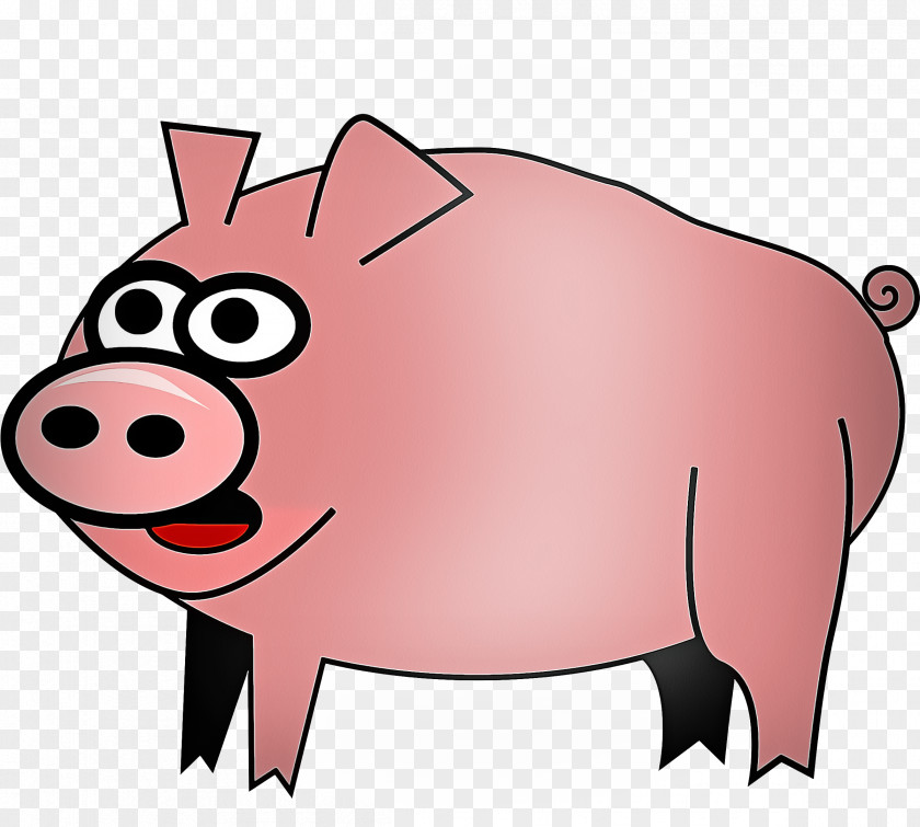 Livestock Boar Cartoon Domestic Pig Clip Art Snout Pink PNG