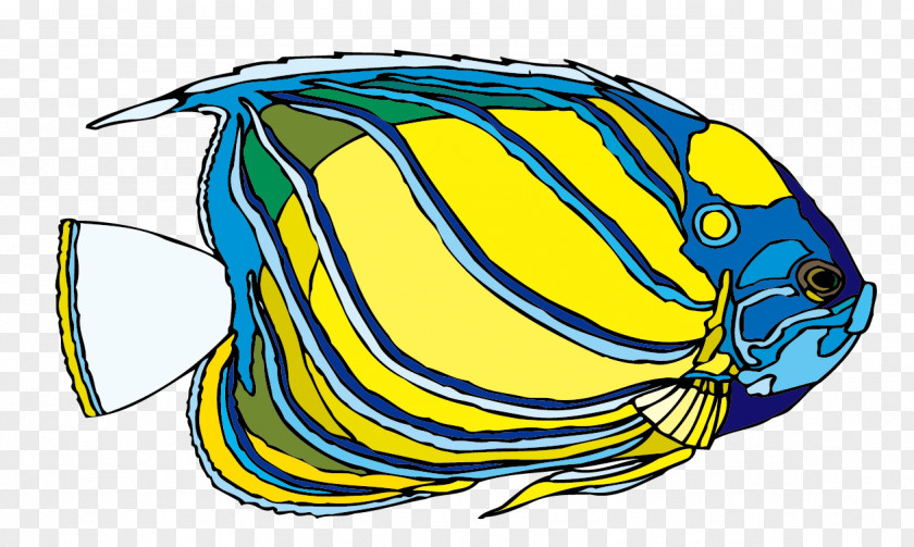 Ornamental Fish Vector Material Euclidean Illustration PNG