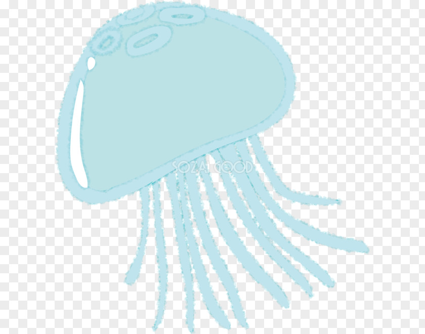 Summer Jellyfish Illustration Sea Moon Jelly Kamo Aquarium PNG