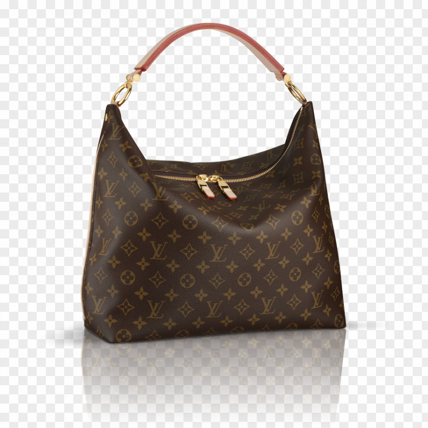 Women Bag Louis Vuitton Handbag Hobo Fashion PNG
