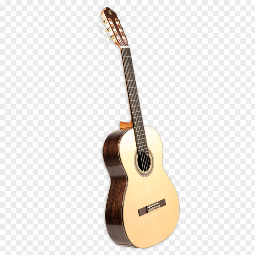 Acoustic Guitar Ukulele Tiple Cuatro Cavaquinho PNG